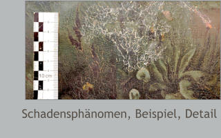 Schadensphänomen, Beispiel, Detail